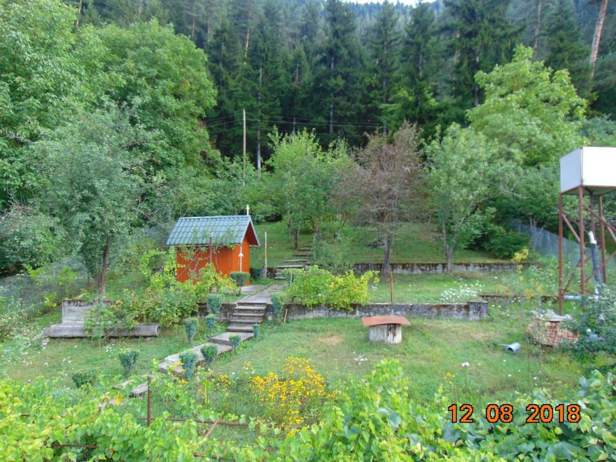 Лоджи Guest House Teo Боржоми-17