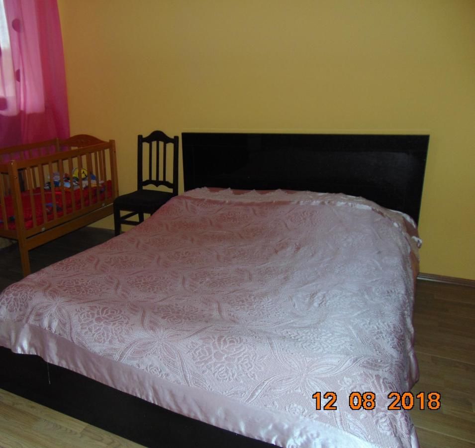 Лоджи Guest House Teo Боржоми-18